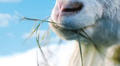 Goat Simulator: Анонс для Xbox One