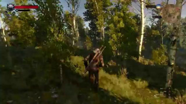The Witcher 3: Wild Hunt: Геймплей на Xbox One