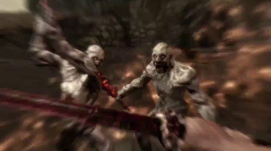 The Elder Scrolls V: Skyrim — Dragonborn: Драконорожденный