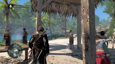Assassin's Creed IV: Black Flag: Области интересов