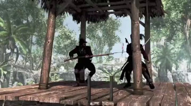 Assassin's Creed IV: Black Flag: Черный остров