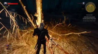 The Witcher 3: Wild Hunt: Первое задание