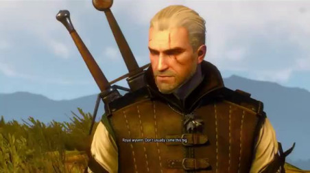 The Witcher 3: Wild Hunt: Охота на виверну