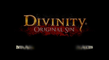 Divinity: Original Sin: Бета