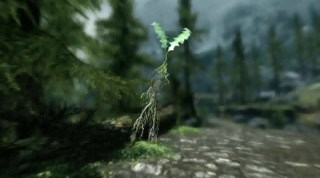The Elder Scrolls V: Skyrim: Презентация игры #1