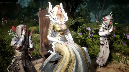 Black Desert: Медия