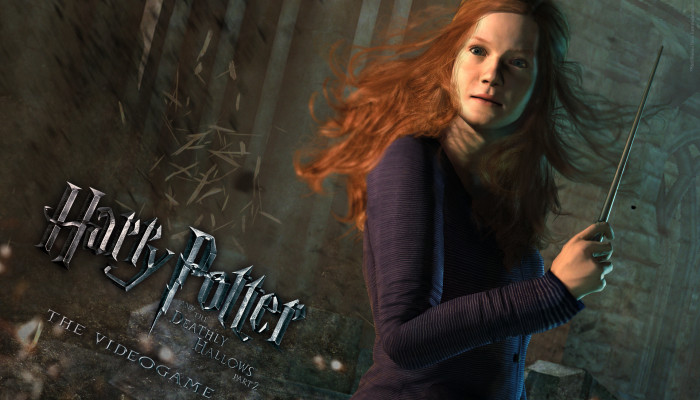 к игре Harry Potter and the Deathly Hallows: Part 2