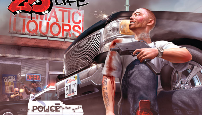 к игре 25 to Life