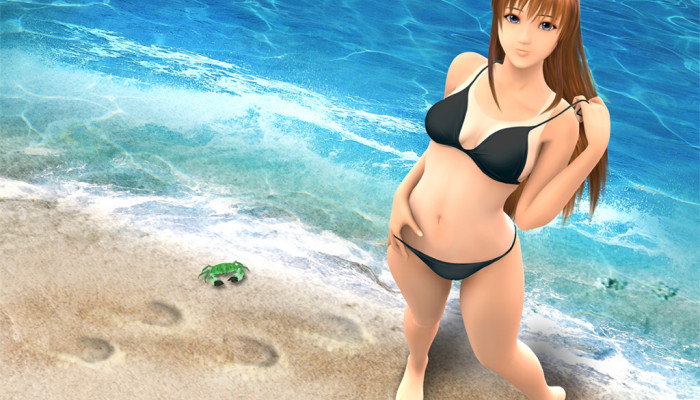 к игре Sexy Beach 2