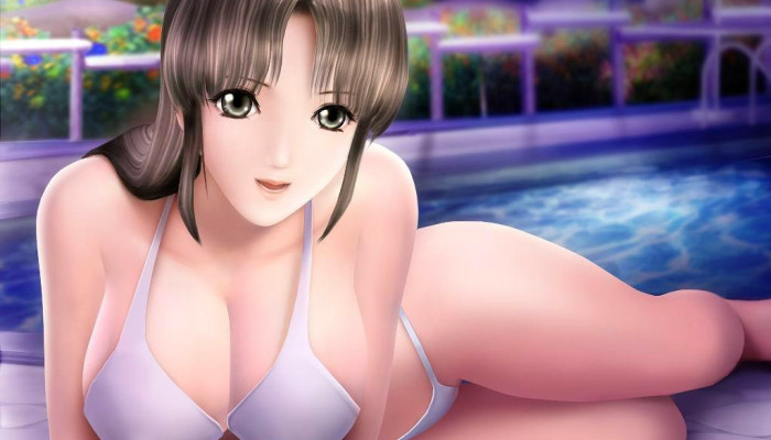 к игре Sexy Beach 2
