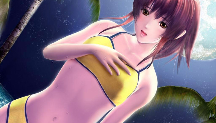 к игре Sexy Beach 2