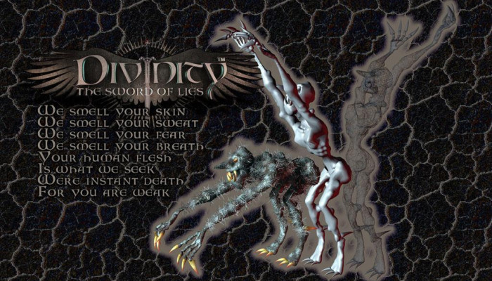 к игре Divine Divinity