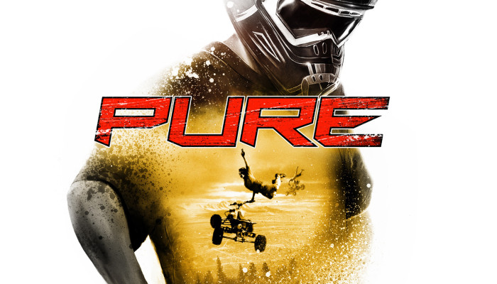 к игре Pure