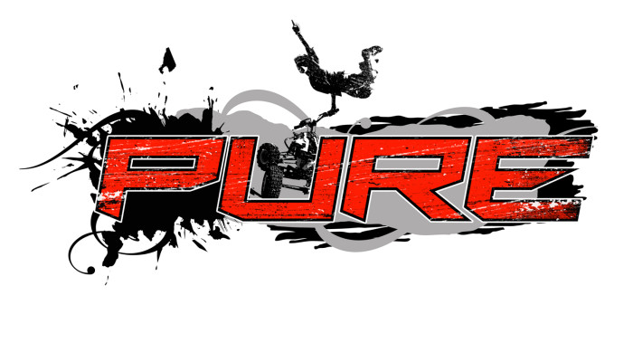 к игре Pure