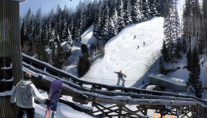 к игре Shaun White Snowboarding