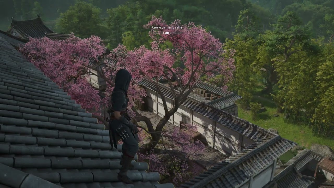 Доска целей и помощь разведчиков &mdash; об исследовании мира в Assassin's Creed Shadows