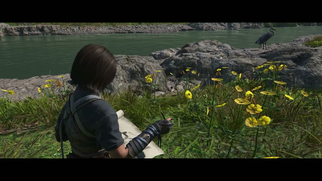 Доска целей и помощь разведчиков &mdash; об исследовании мира в Assassin's Creed Shadows