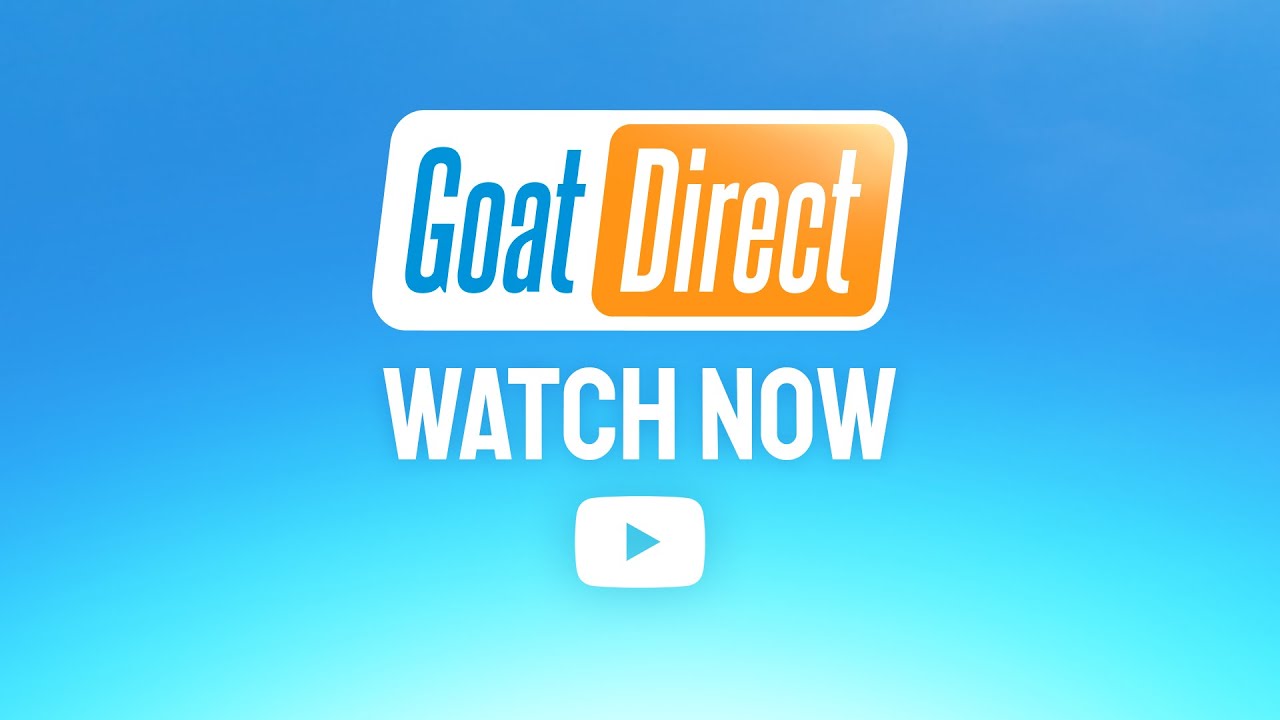 Goat Simulator 3 получила глобальный патч с новым контентом